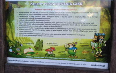 Jesienna lekcja przyrody w Lasku Borkowskim