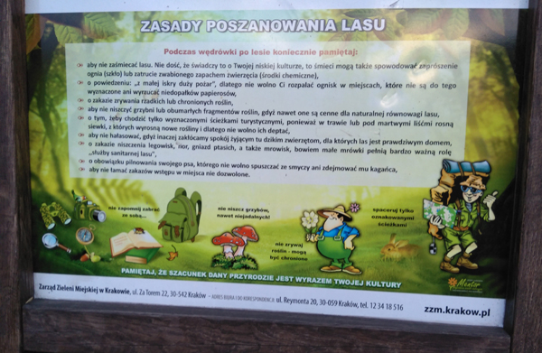 Jesienna lekcja przyrody w Lasku Borkowskim