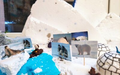 Podbiegunowa makieta