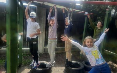 Tegu ruchu nam brakowało…