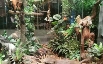 Wyjątkowa lekcja przyrody dla klas IV i V